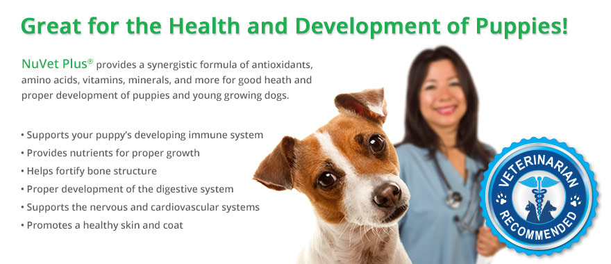 Great for the health and development of puppies — NuVet Plus is veterinarian recommended