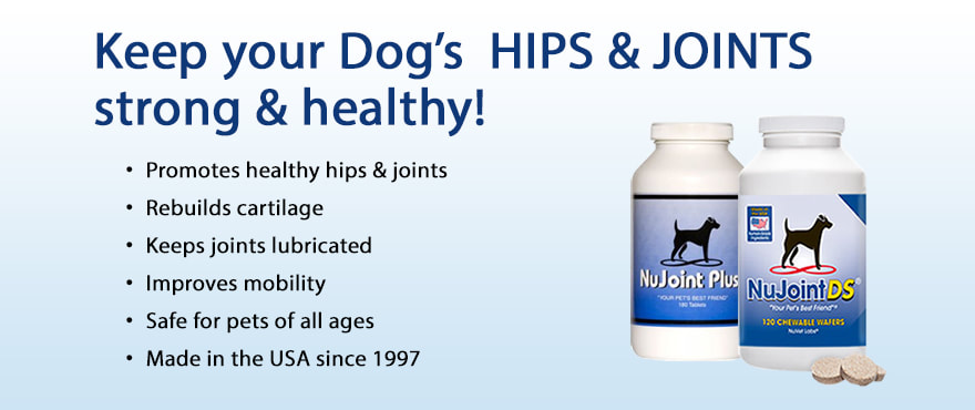 Keep your dog's hips and joints strong and healthy with NuJoint Plus and NuJoint DS
