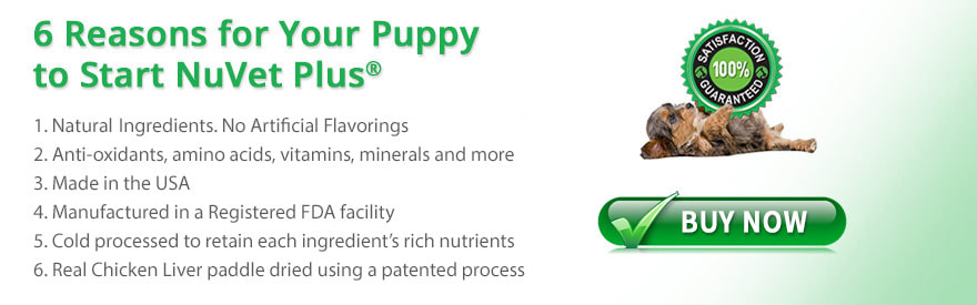 6 reasons for your puppy to start NuVet Plus — 100% satisfaction guaranteed